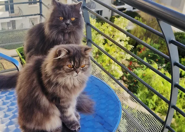 Welcome To Malta Habitación en casa particular *